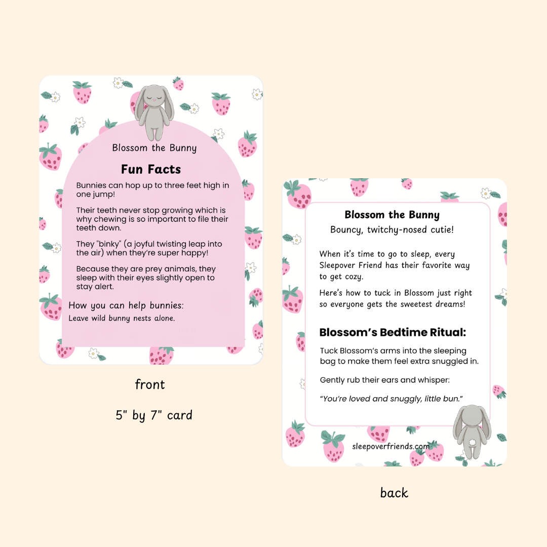 Blossom the Bunny – Sleepover Friends